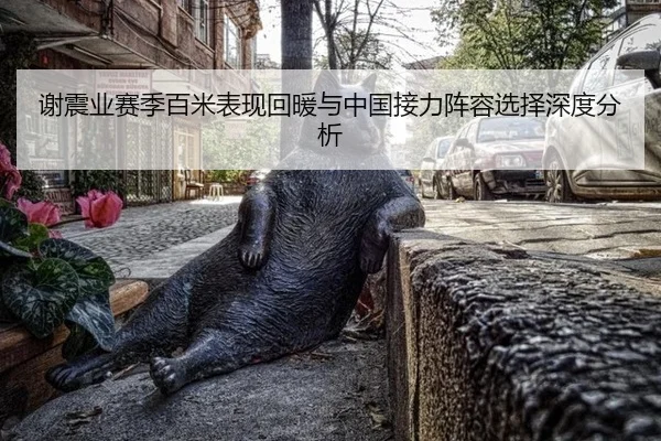 xie-zhen-ye-sai-ji-bai-mi-biao-xian-hui-nuan-yu-zhong-guo-jie-li-zhen-rong-xuan-ze-shen-du-fen-xi-2-624.jpg